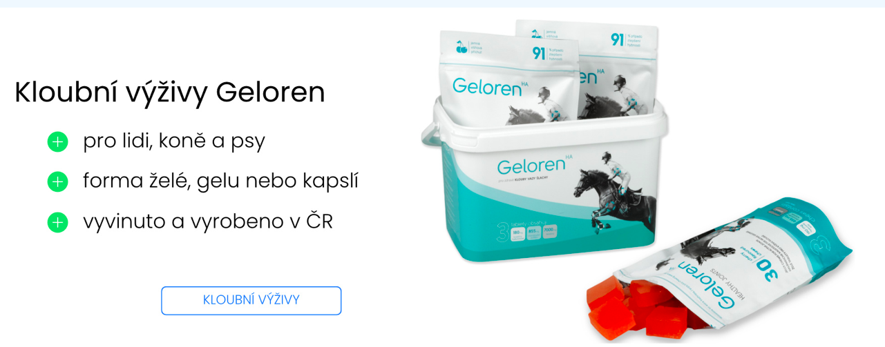 gelorenha